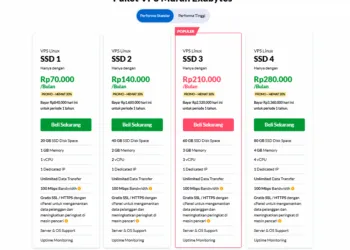 Tips Memilih VPS Murah dengan Performa Optimal